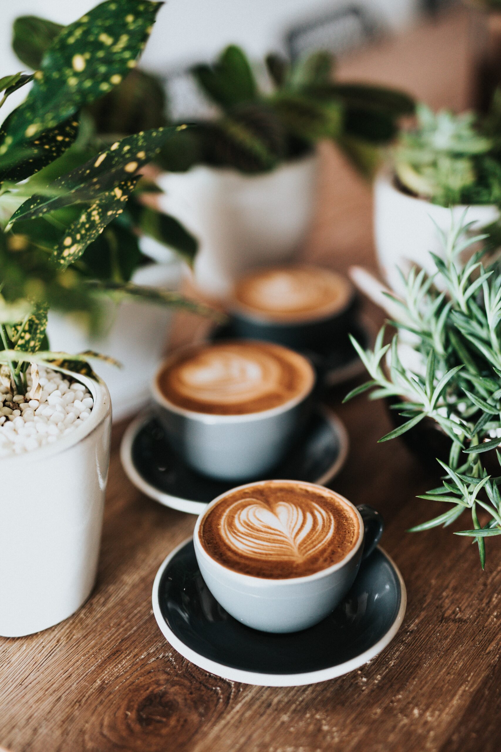 Café de comercio justo: Promoviendo la equidad en la industria del café